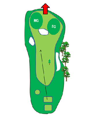 Hole 17 コースマップ